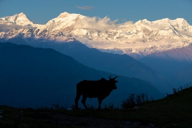 Nordic Nepal Adventures